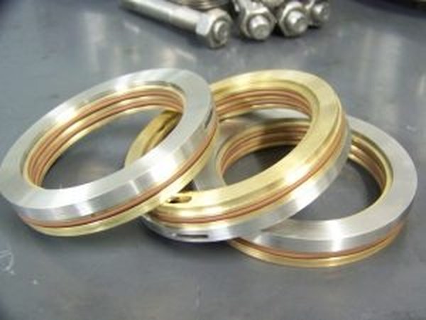 protetores_upscaled_2x